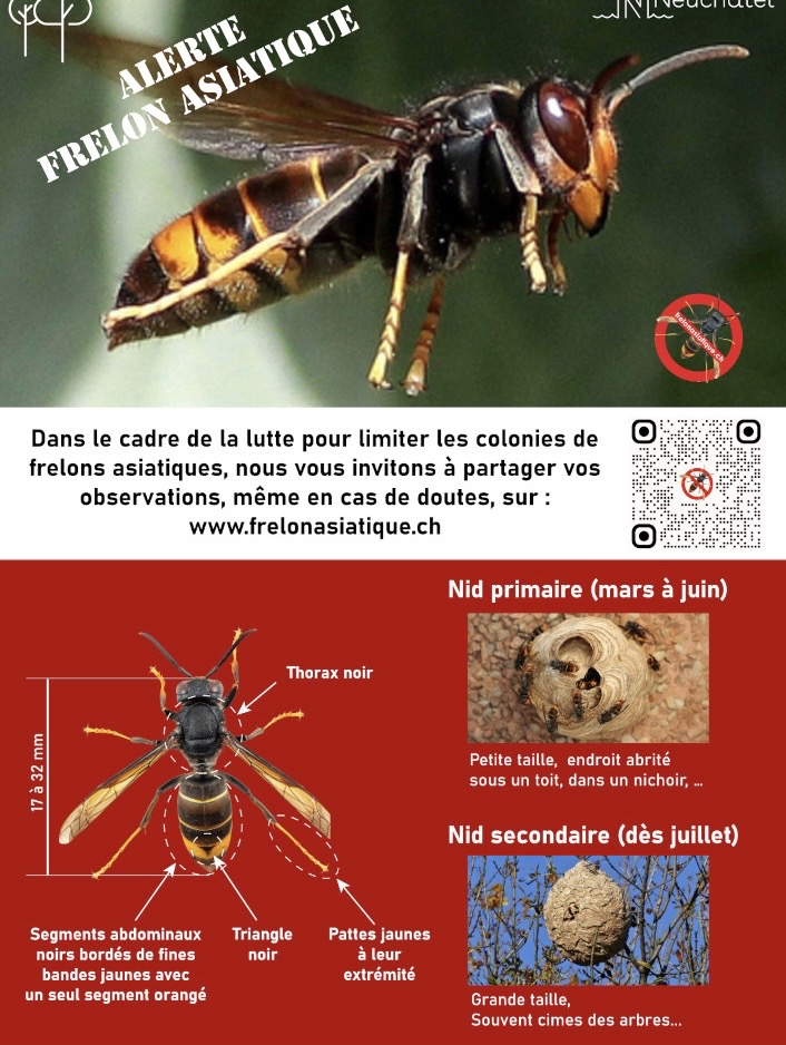 10ab6b9e-661a-44c6-b6d4-031d931eb57a.jpg